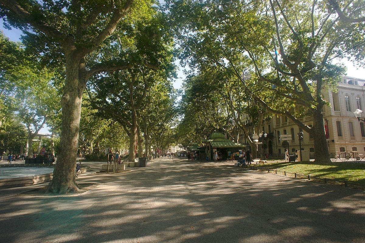 Esplanade_Charles_de_Gaulle_à_Montpellier Place royale du Peyrou